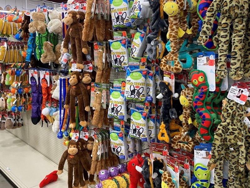 pet toys nov 2023 925x694